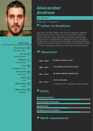 Accountant resume example